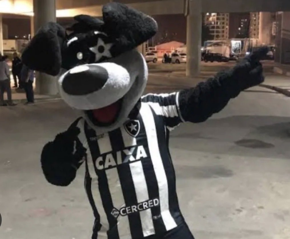 anômino 🐷💚 tweet media