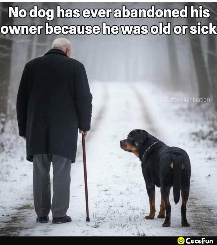 Original Spike1962 tweet media