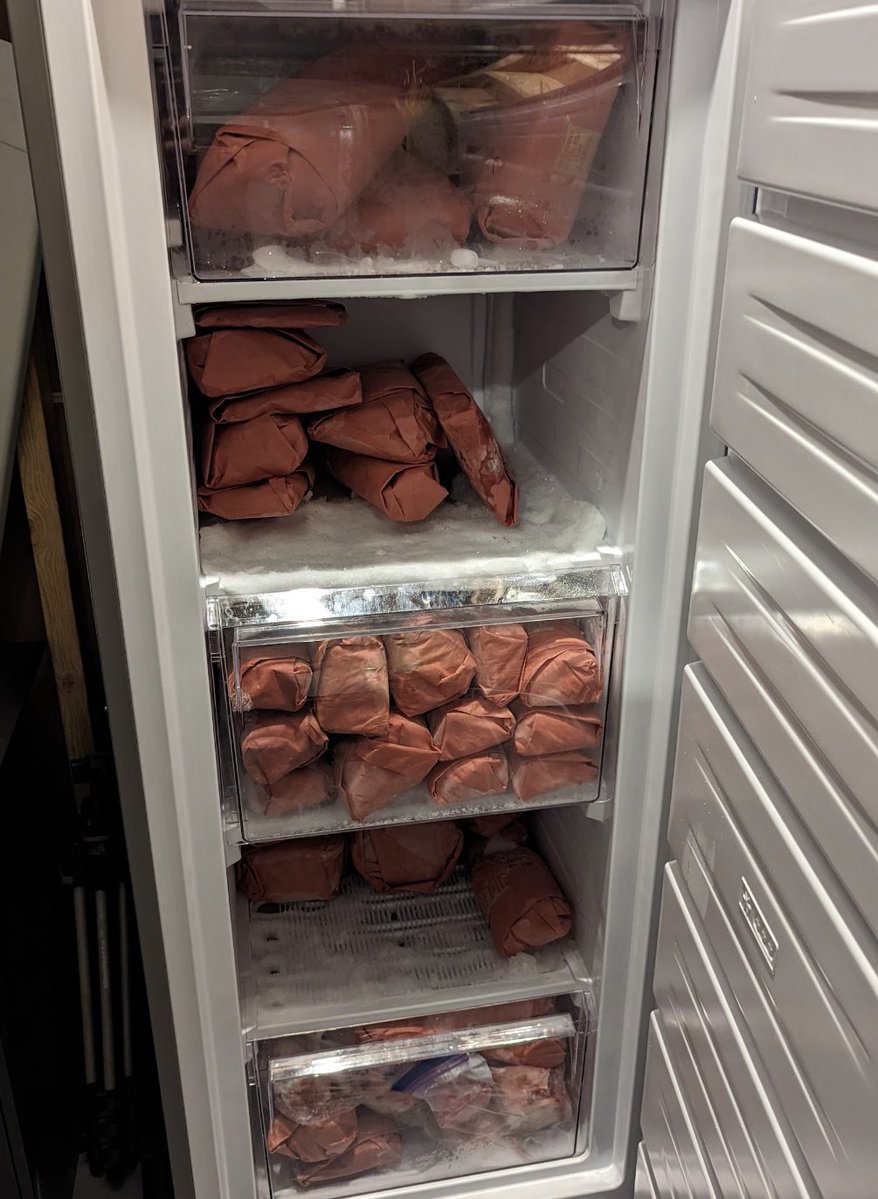 BTC Sessions 😎 tweet media