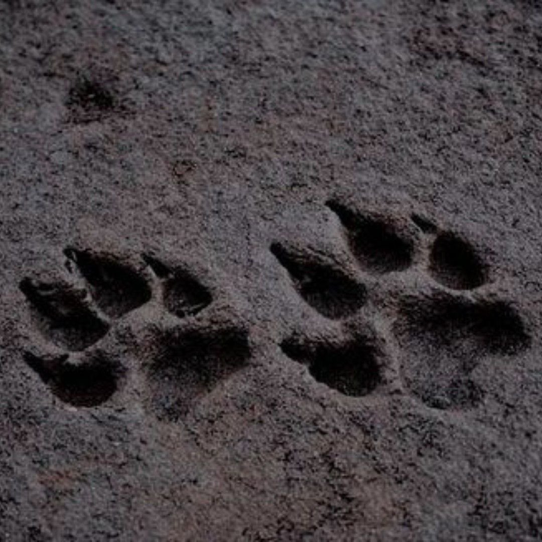 𝐑𝐀𝐄 tweet media