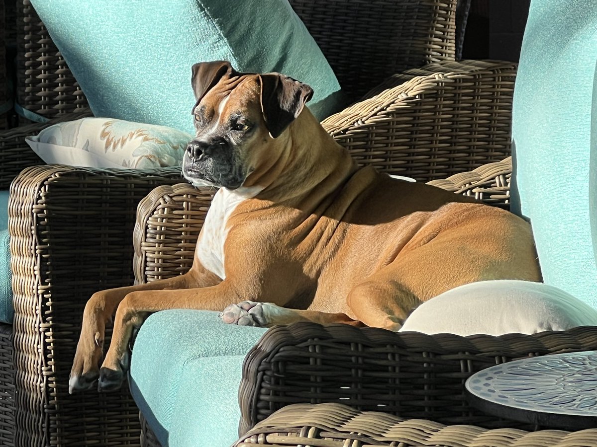 brianmc_arch's tweet photo. @PhilSledge #QueenRubyMae https://t.co/LZgIAn1SUu