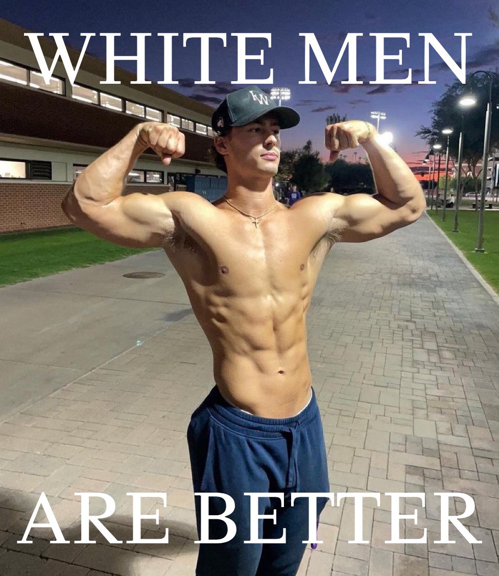 AlphaWP tweet media
