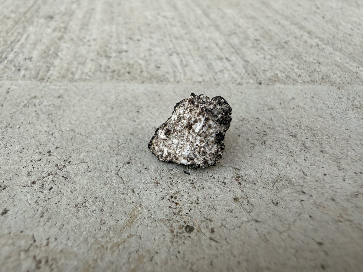 Mike Vielhaber tweet media