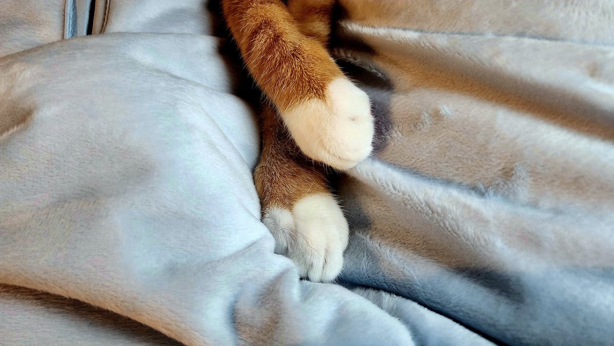 제이칼립소 tweet media