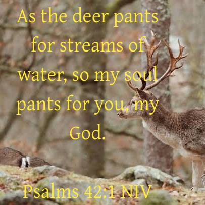 tysonjaypalmer's tweet photo. Verse of the Day
Monday 23rd of March
2026A.D. is from
Psalms 42:1 NIV https://t.co/UdKLh5h0bl