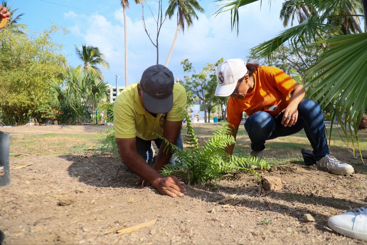 Evelyn Salgado Pineda tweet media
