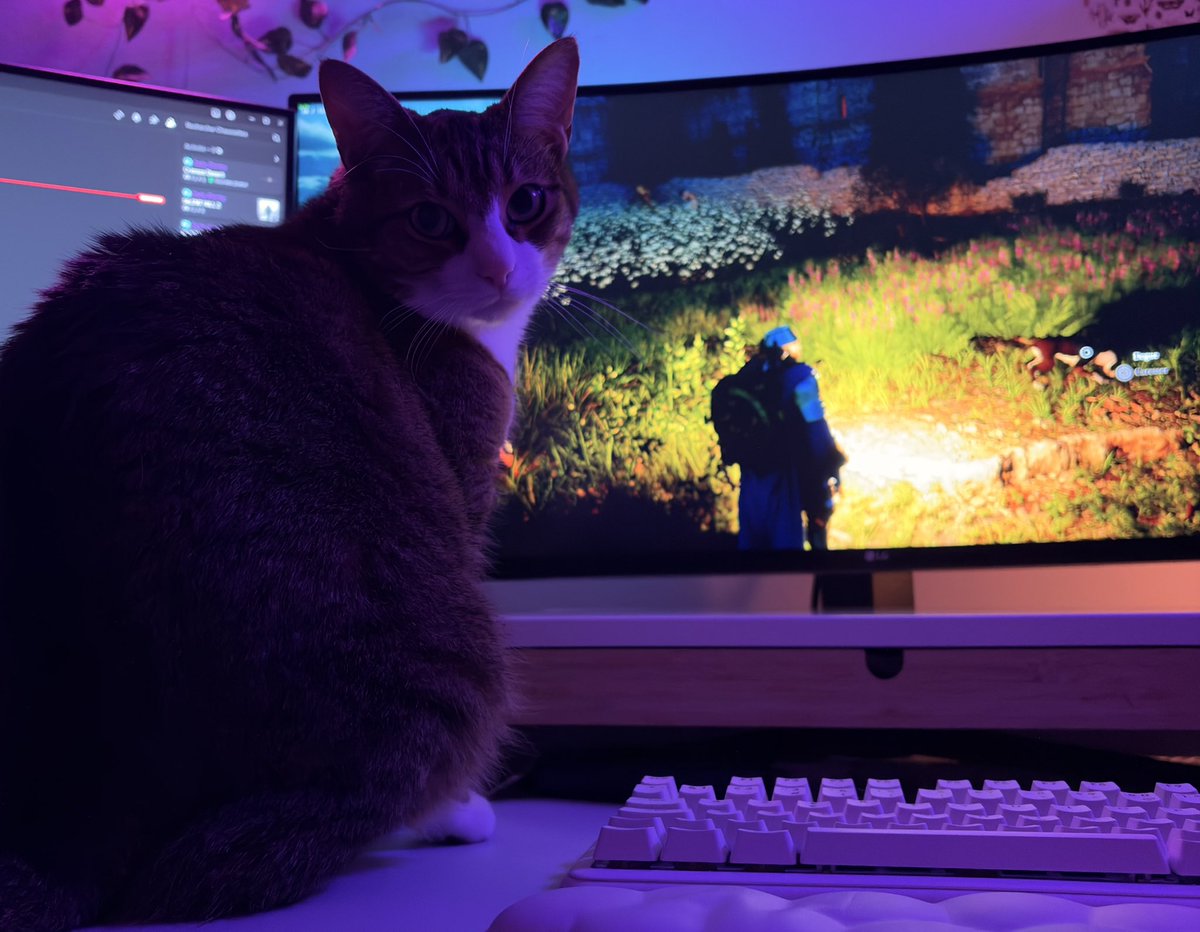 Pepouzz 🧸 tweet media