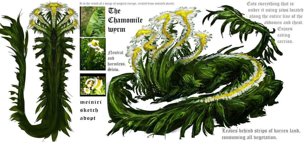 meiniri✴️✴️ tweet media