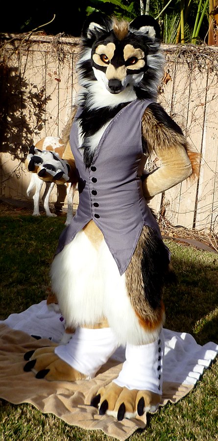 Foxfur 🇩🇰 tweet media