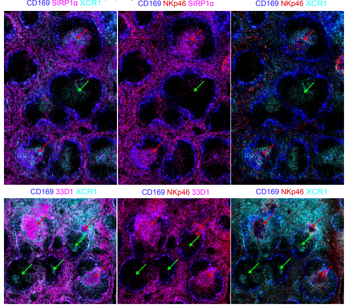 Waggoner Lab tweet media