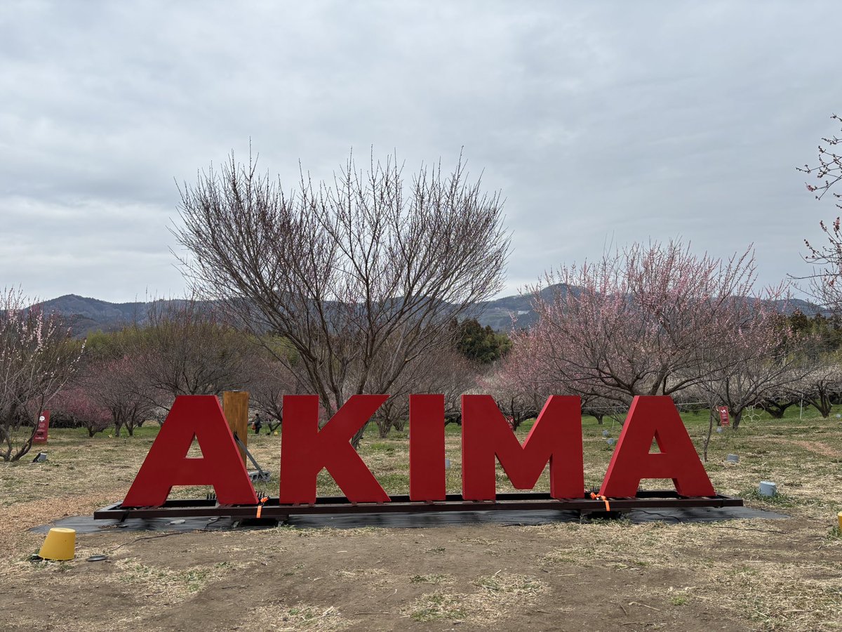 きょーこ tweet media