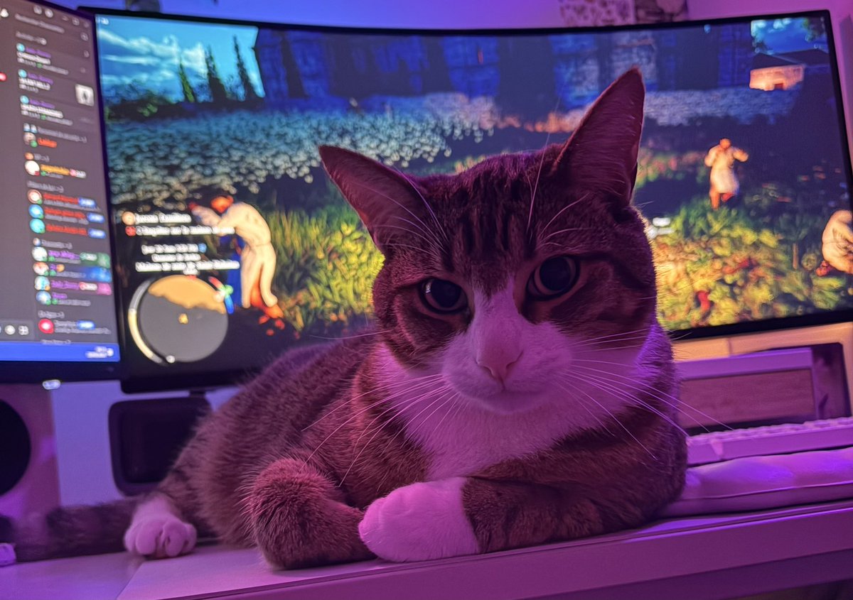 Pepouzz 🧸 tweet media