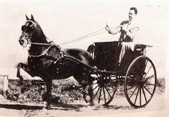 Bad News Network tweet media