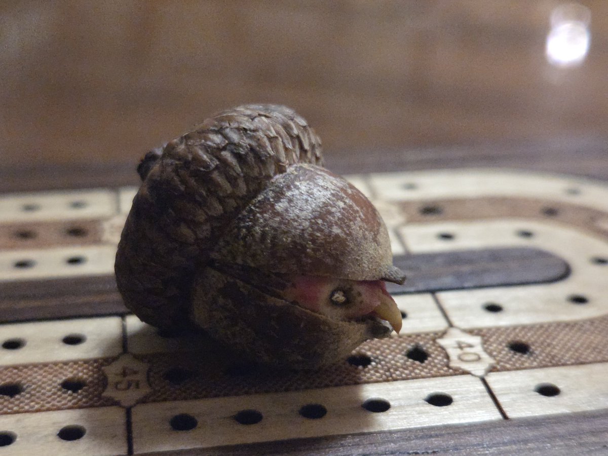 Micah the Pretty Good🍎 tweet media