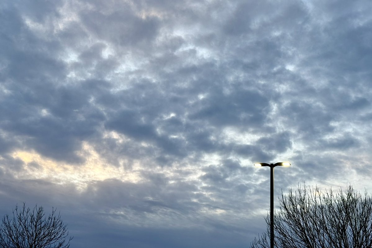 just jane tweet media