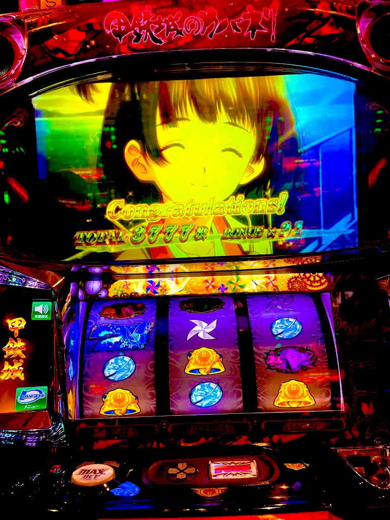 アイリス🗽 tweet media