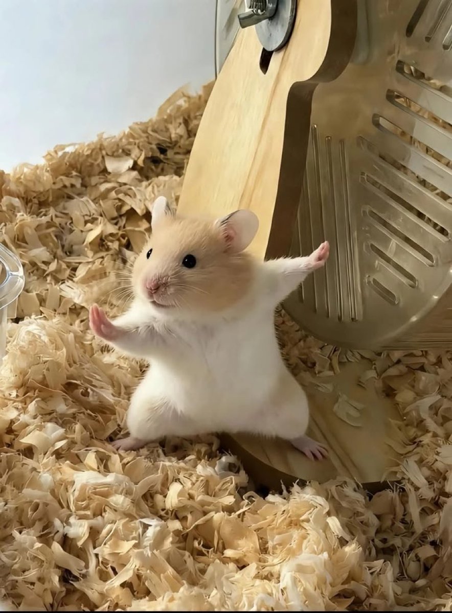 blueway48 tweet media