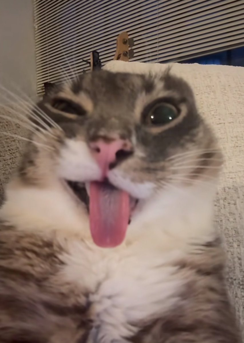 blizz 🔜 Pax East tweet media