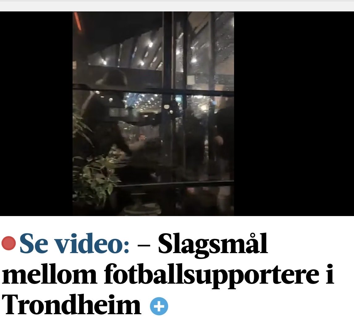 1913Kongeblå tweet media