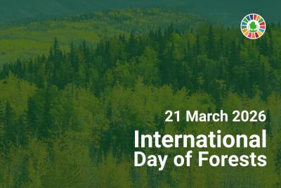 The International Day of Forests, observed annually on March 21, celebrates the importance of all types of forests and trees, highlighting their ecological, social, and economic roles.
