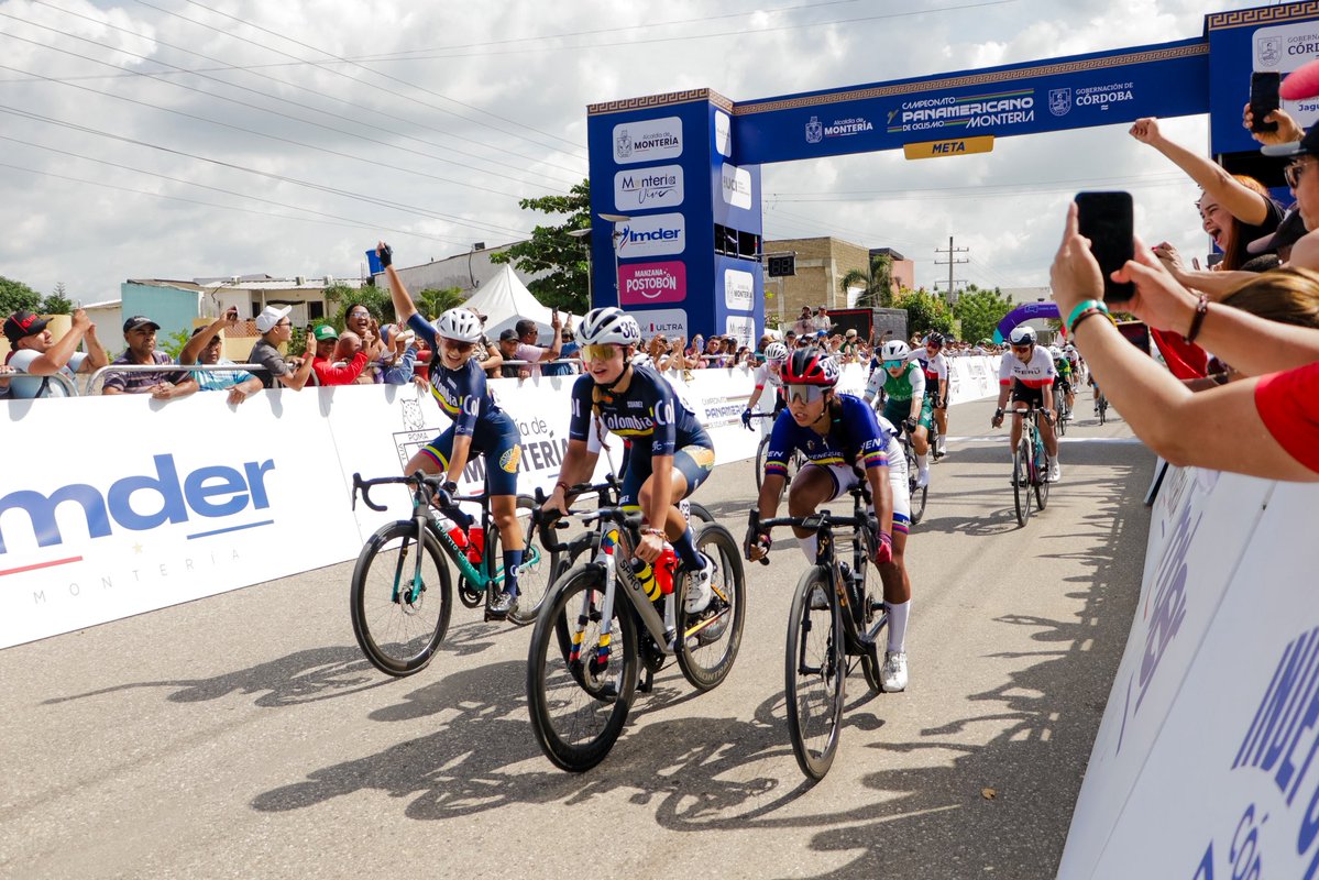 Said Bitar Castilla tweet media