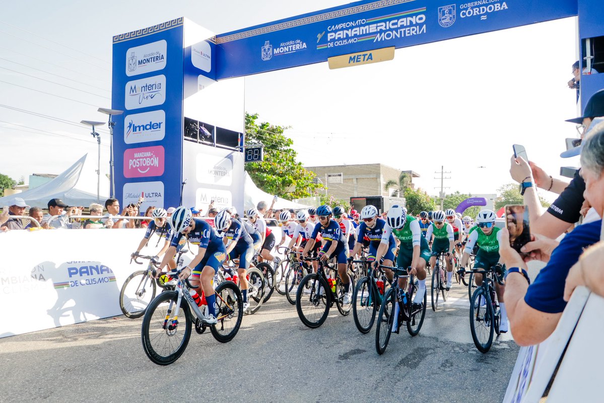 Said Bitar Castilla tweet media