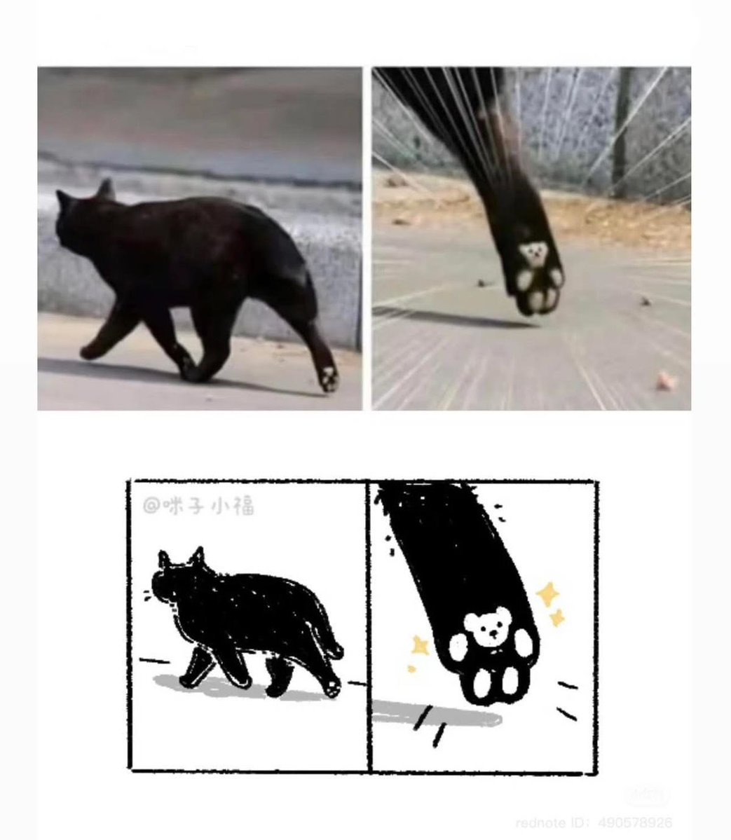 Pie 🐟 tweet media