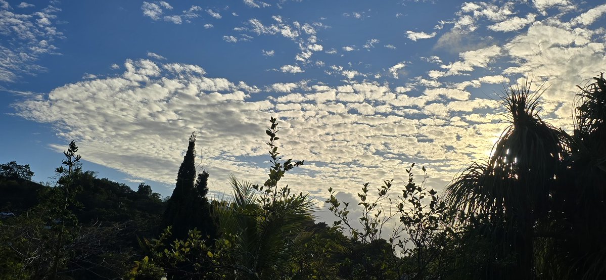 Norma Ortiz Rodriguez tweet media