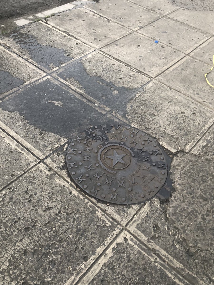 Marlon Enrique (pajaro) tweet media