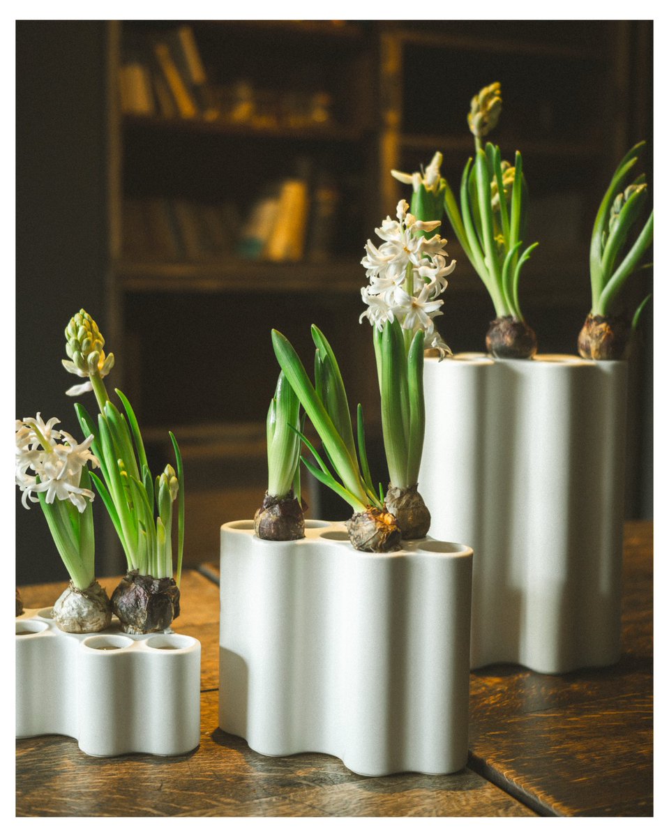 たっきー tweet media