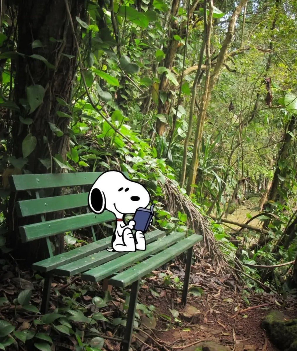 Mark Farina tweet media