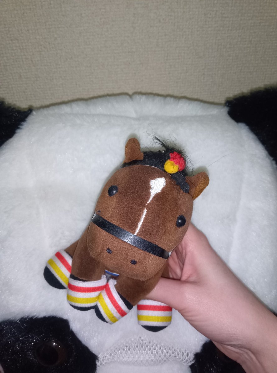 はんぺぇーん@ｻ亻亻ｸﾞ婚活垢 tweet media