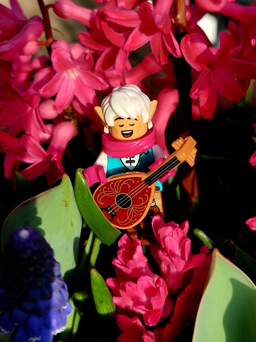 A.J. Moonlight tweet media