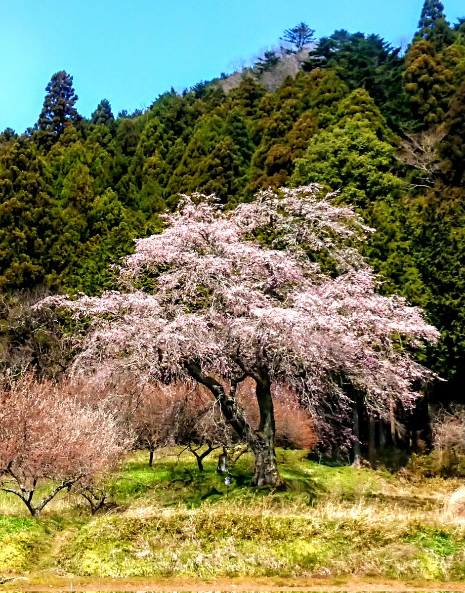 blueway48 tweet media