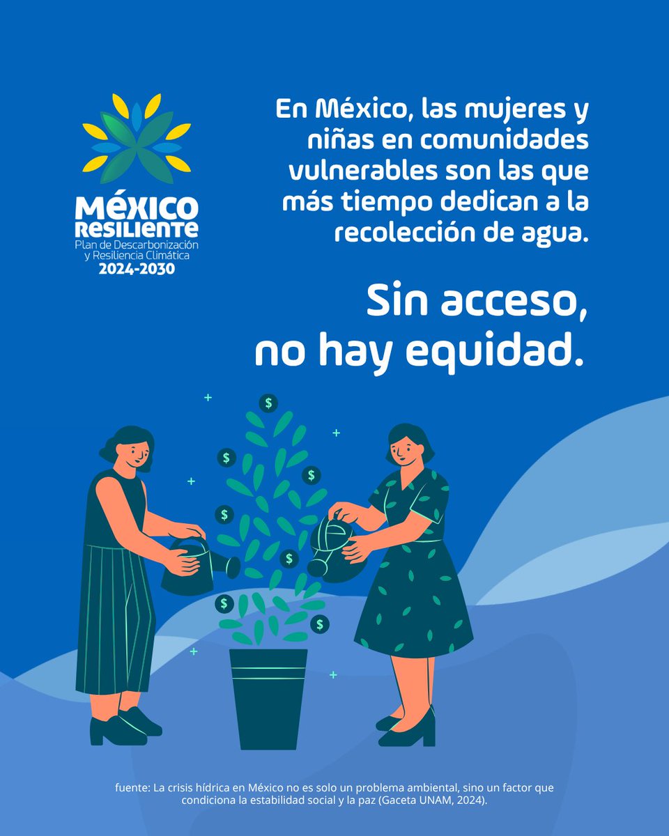 México Resiliente tweet media