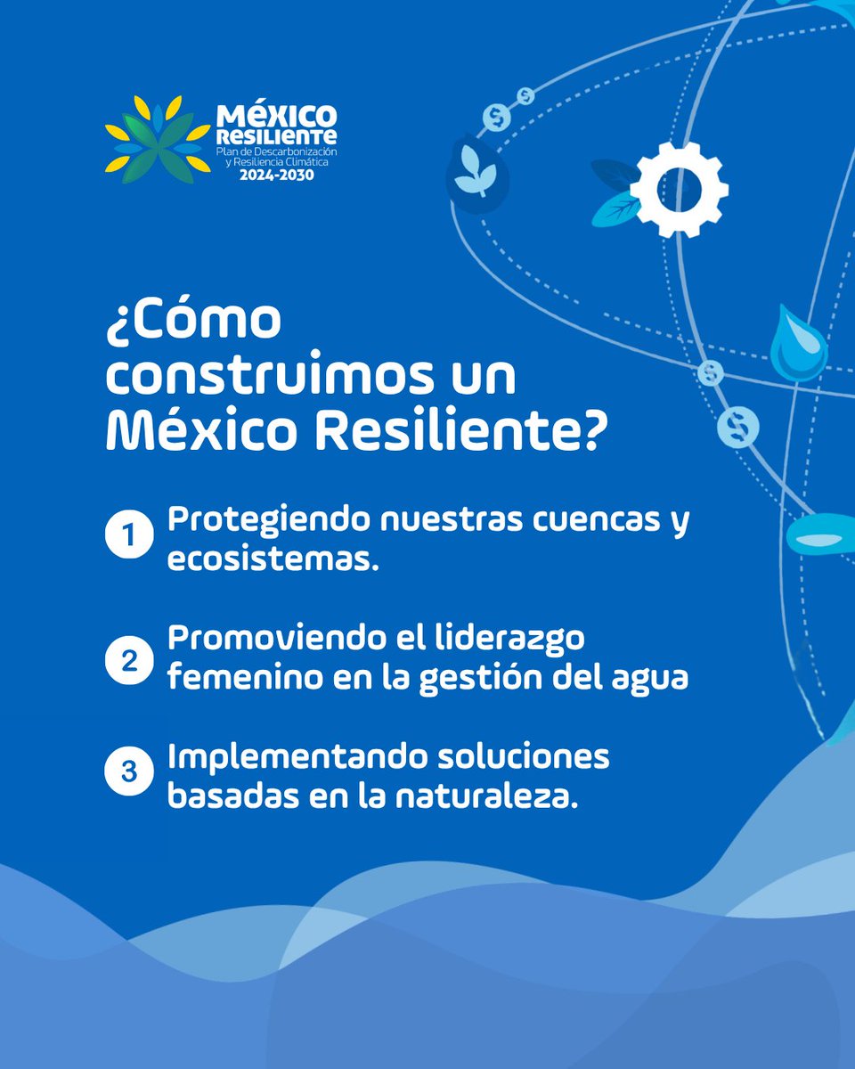 México Resiliente tweet media