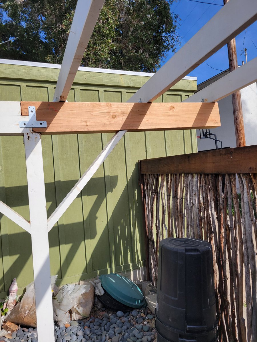 Brian Schottlaender tweet media