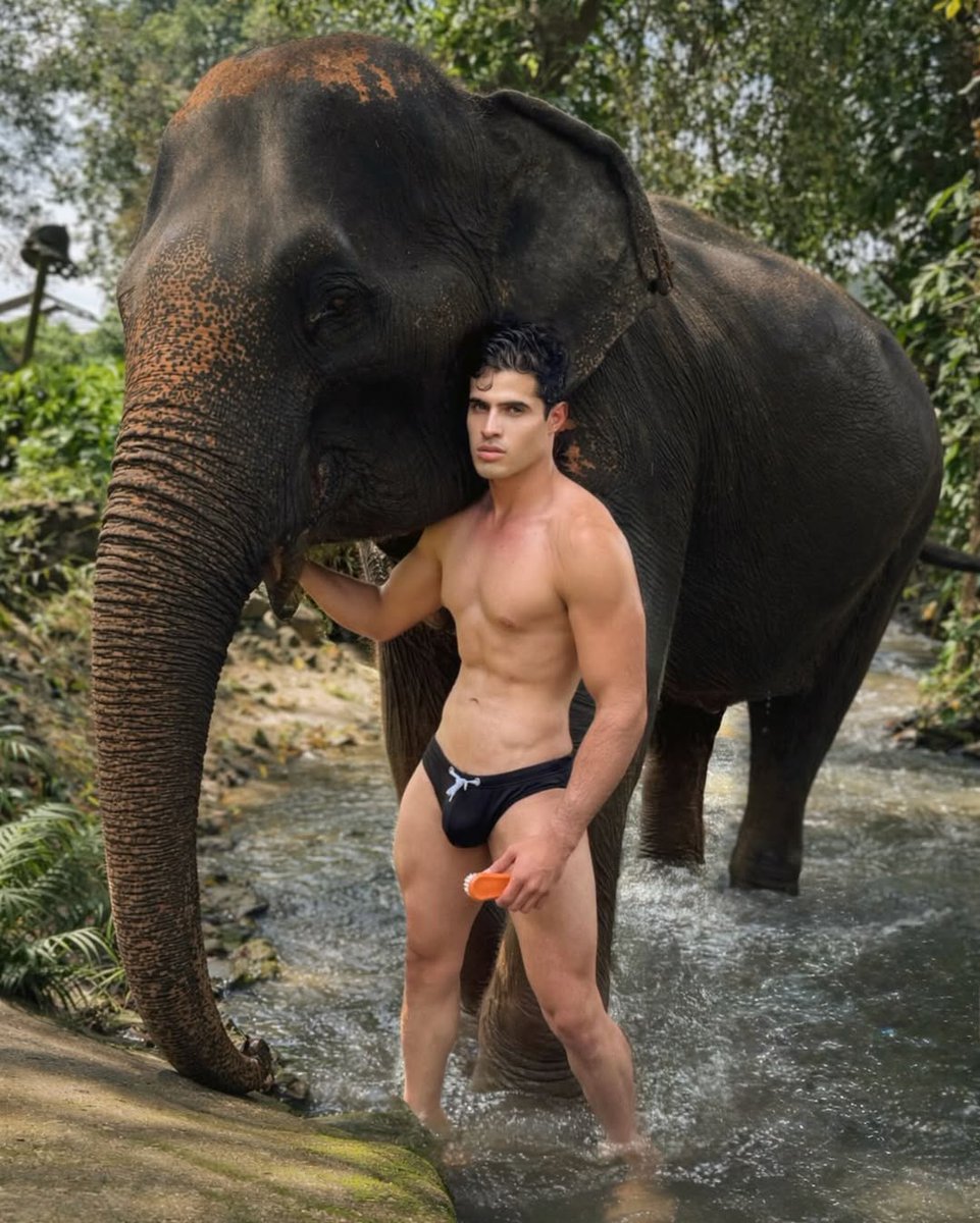 OSWALDO SANTANA tweet media