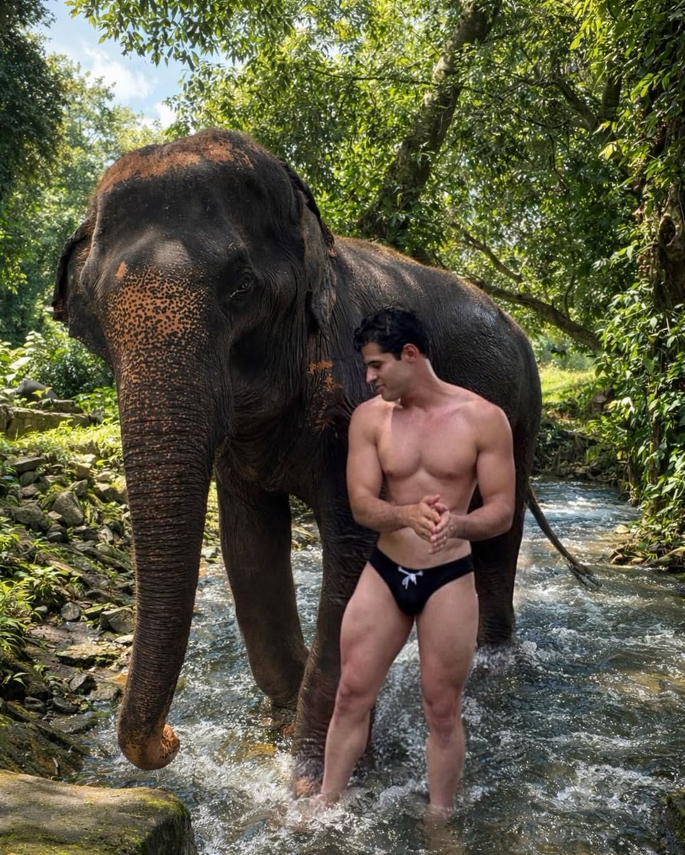 OSWALDO SANTANA tweet media