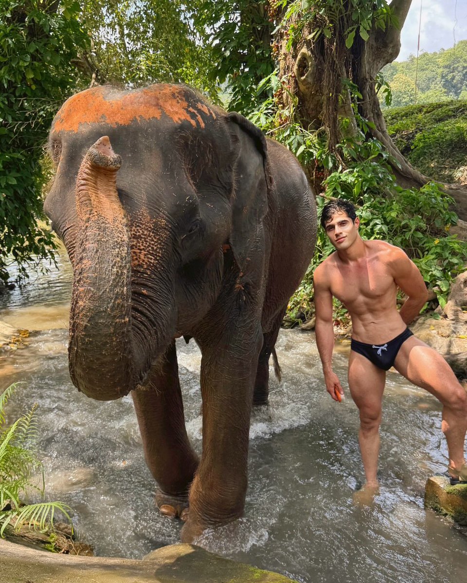 OSWALDO SANTANA tweet media