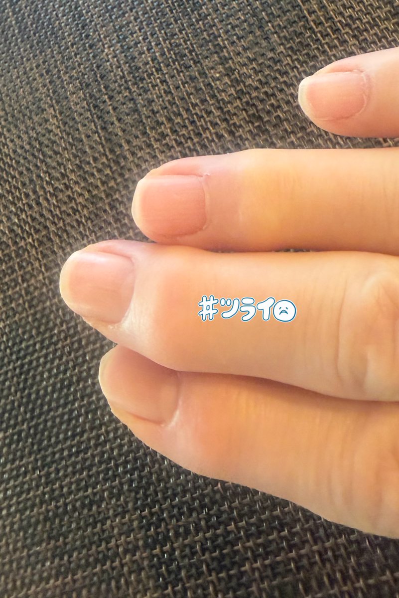 み゜え　る(雑) tweet media