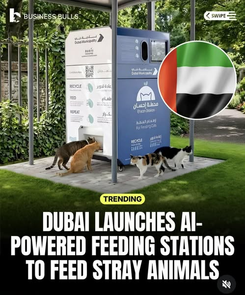TrevorSinclair's tweet photo. There’s plenty of talk about people fleeing Dubai leaving their pets behind. A friend who has lived in Dubai for many years says the government is doing a wonderful job to support pets left behind. https://t.co/rDVuLGHLN3