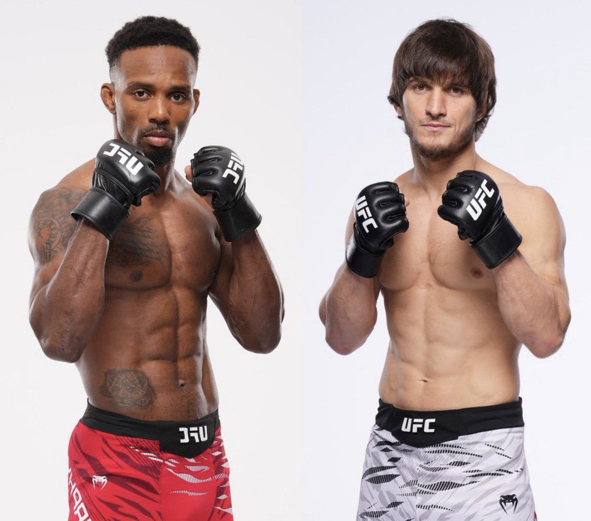 Chicken King MMA tweet media