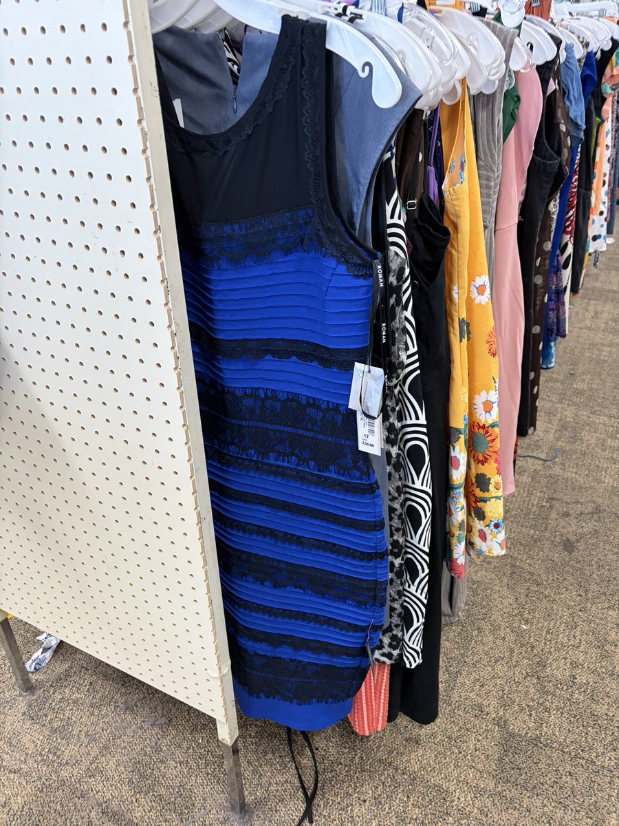 dia dimcene tweet media