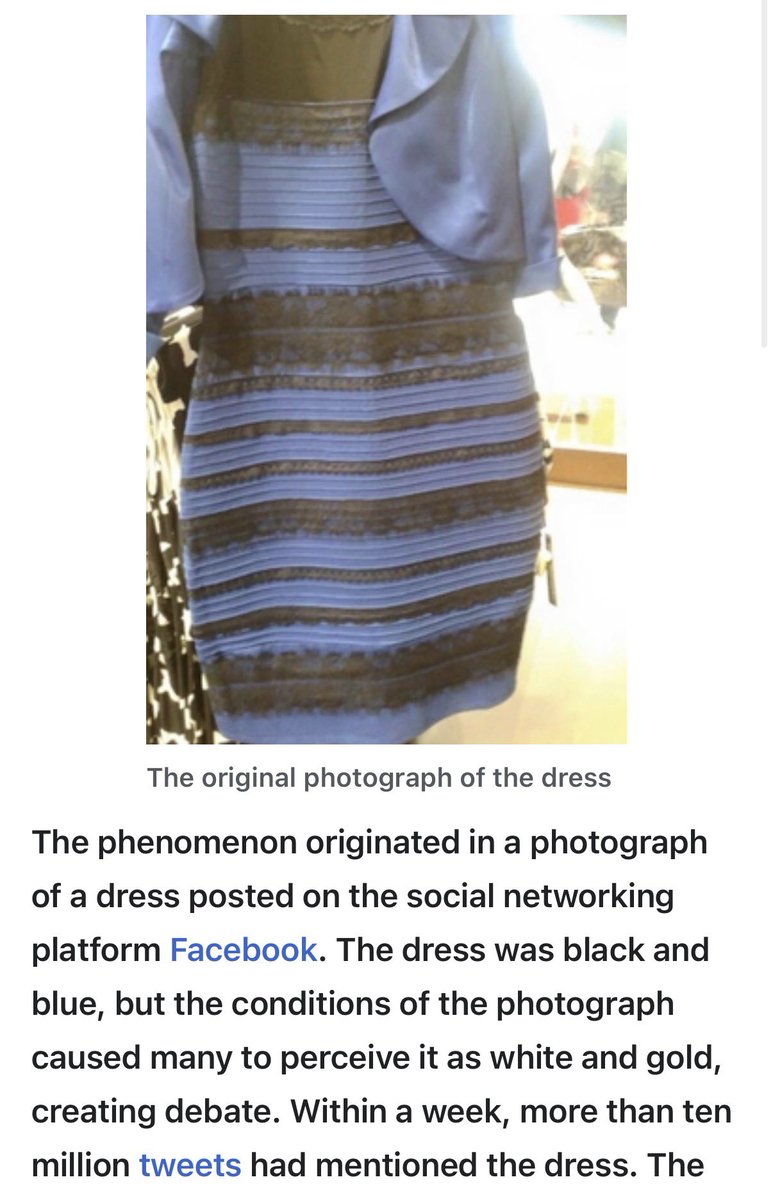 dia dimcene tweet media