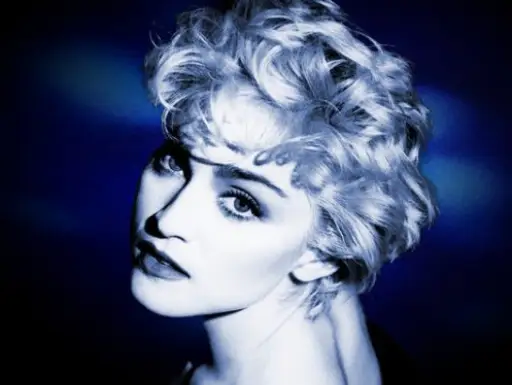 dan ✨️ tweet media