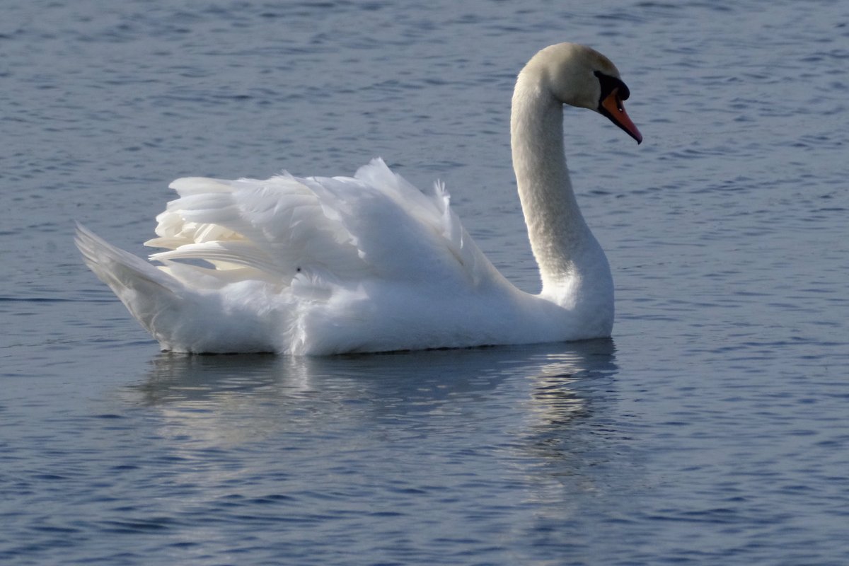 Night, night…
#northumbria
