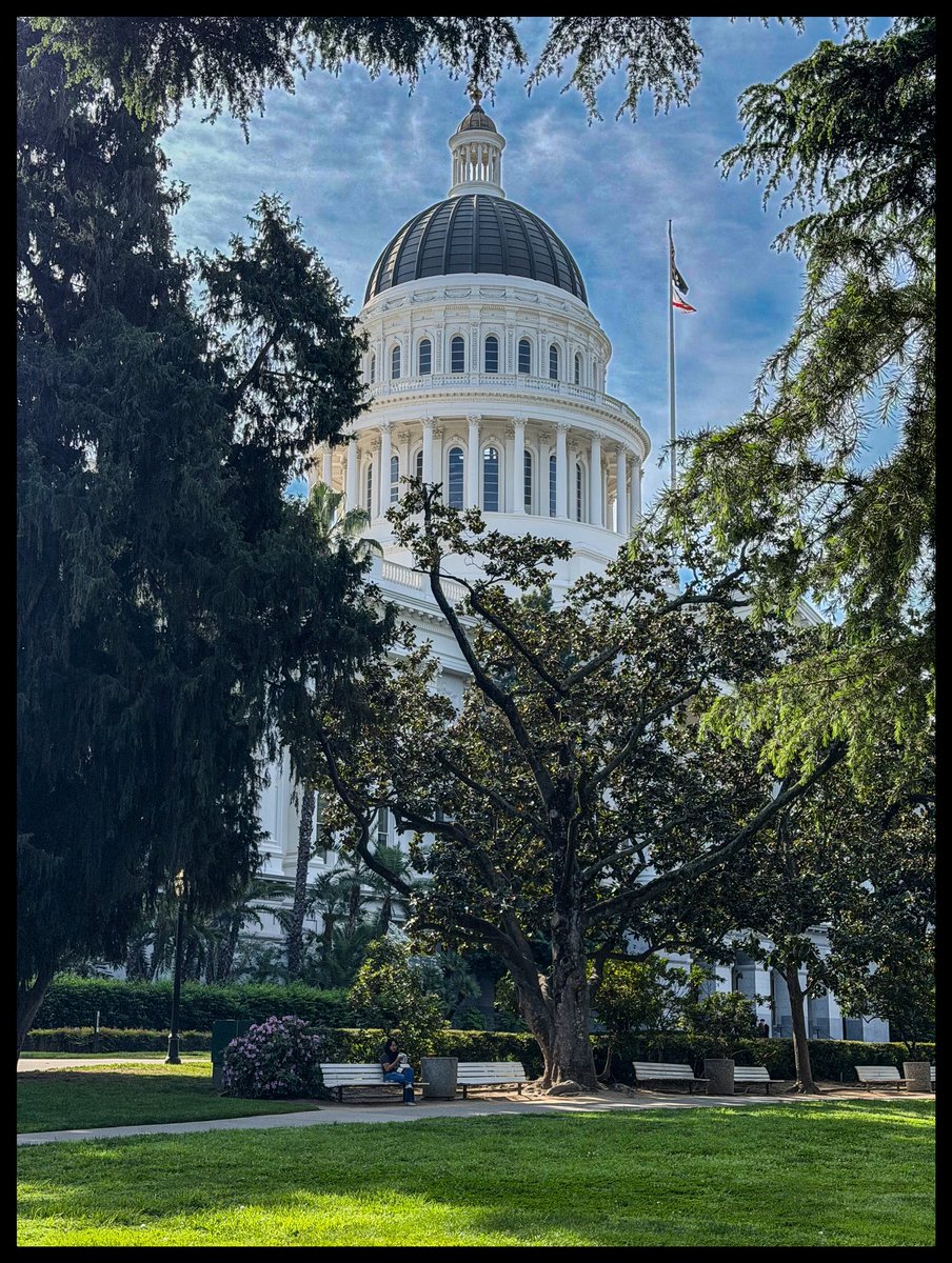 serenity67's tweet image. When in #Sacramento 
Golden day on the Golden State 😍💛🫡
