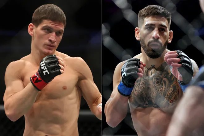 Blind Bear 🐻🕶️ tweet media