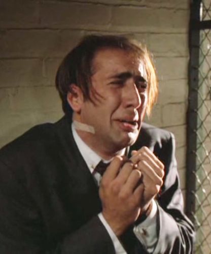 𝚎𝚖𝚞 🐑໒꒱·̩͙⋆.* tweet media